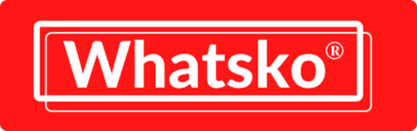 Whatsko | エミュレーター レトロ ゲーム コンソール – whatskogame